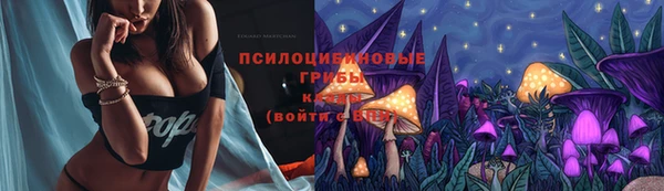 молекула духа Алексин