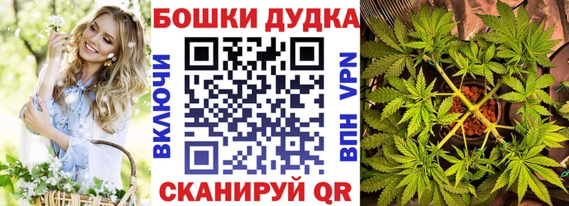Бошки Шишки план  Москва 