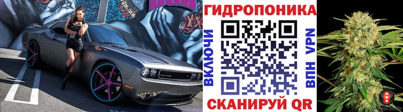 Бошки марихуана VHQ Москва